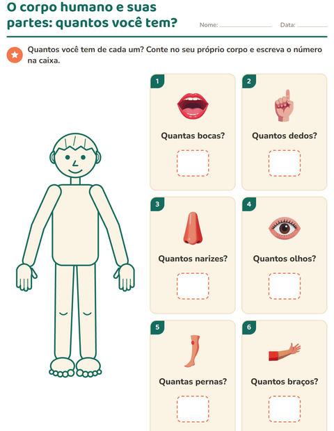 Quantos você tem de cada parte do corpo?