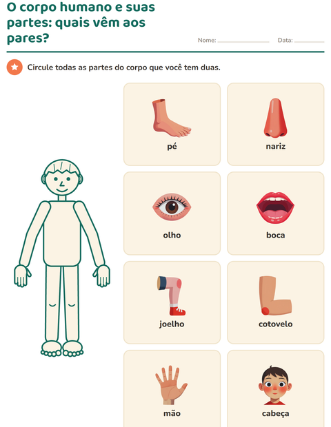 o-corpo-humano-e-suas-partes-k363