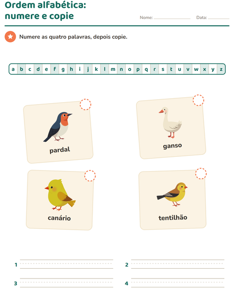 Pré-visualização da ficha de Ordem alfabética com Pássaros 2 para 1º ano do ensino fundamental