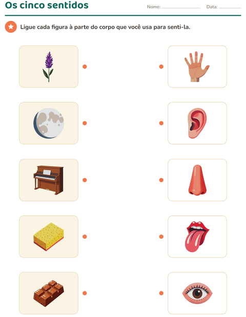 Pré-visualização da ficha de Os cinco sentidos para Educação infantil (pré-escola, 5-7 anos)