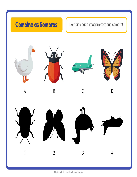 Pré-visualização da ficha de Pareamento De Sombras com Coisas que voam para Educação infantil (pré-escola, 5-7 anos)