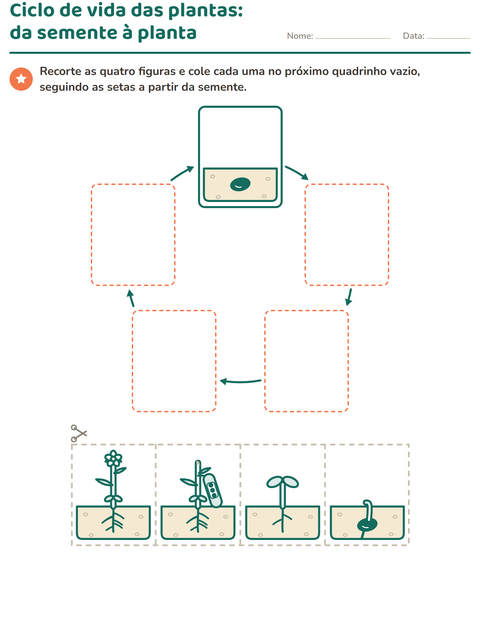 Pré-visualização da ficha de Partes da planta para 1º ano do ensino fundamental