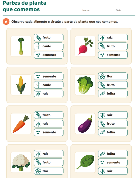 Partes da planta que comemos: raiz, caule, folha, flor, fruto ou semente?