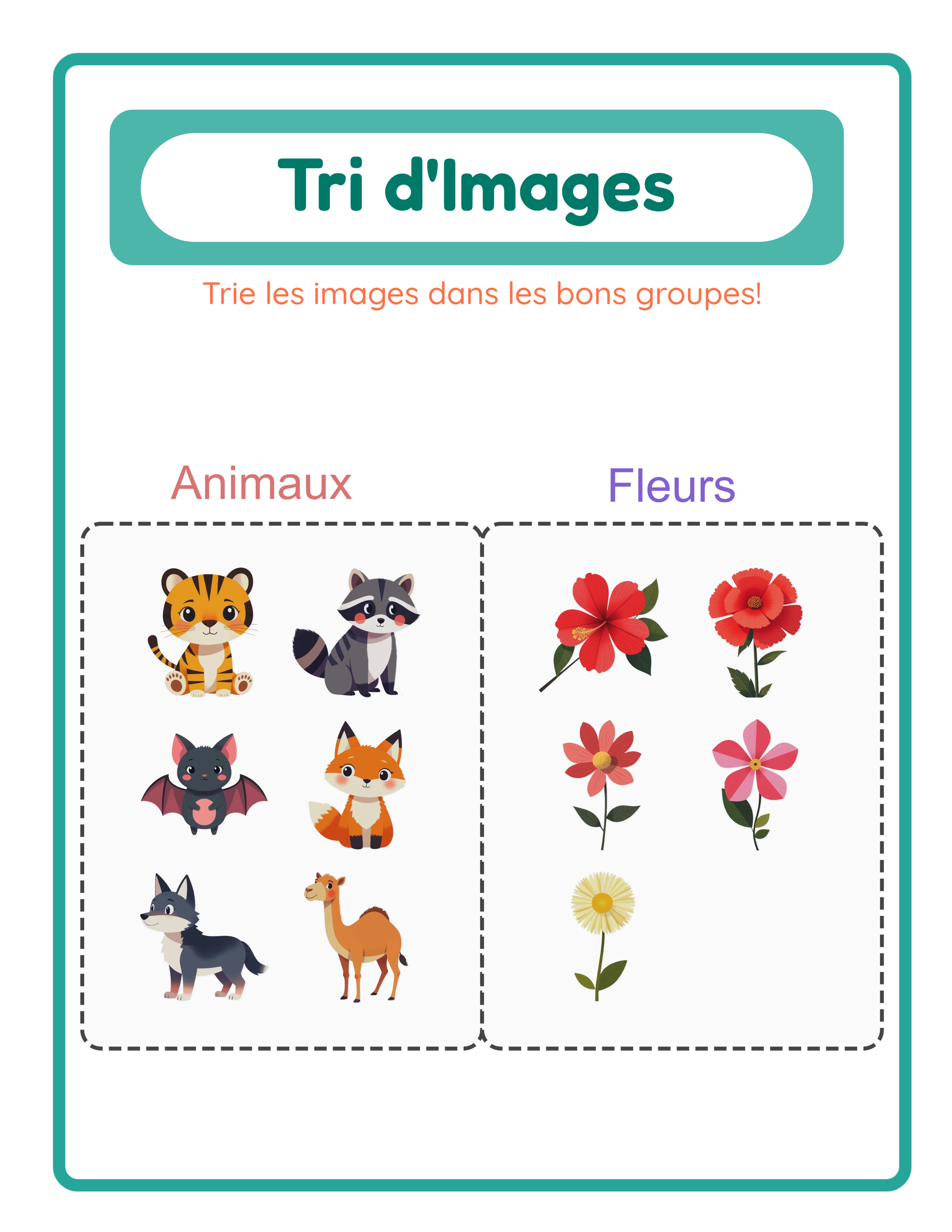 Corrigé de tri d'images avec images 6 fois plus grandes organisées dans les boîtes de catégories correctes avec bordures pointillées et remplissage FAFAFA