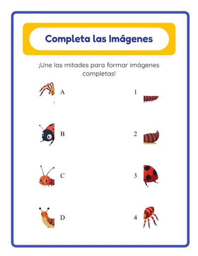 Empareja las Sombras