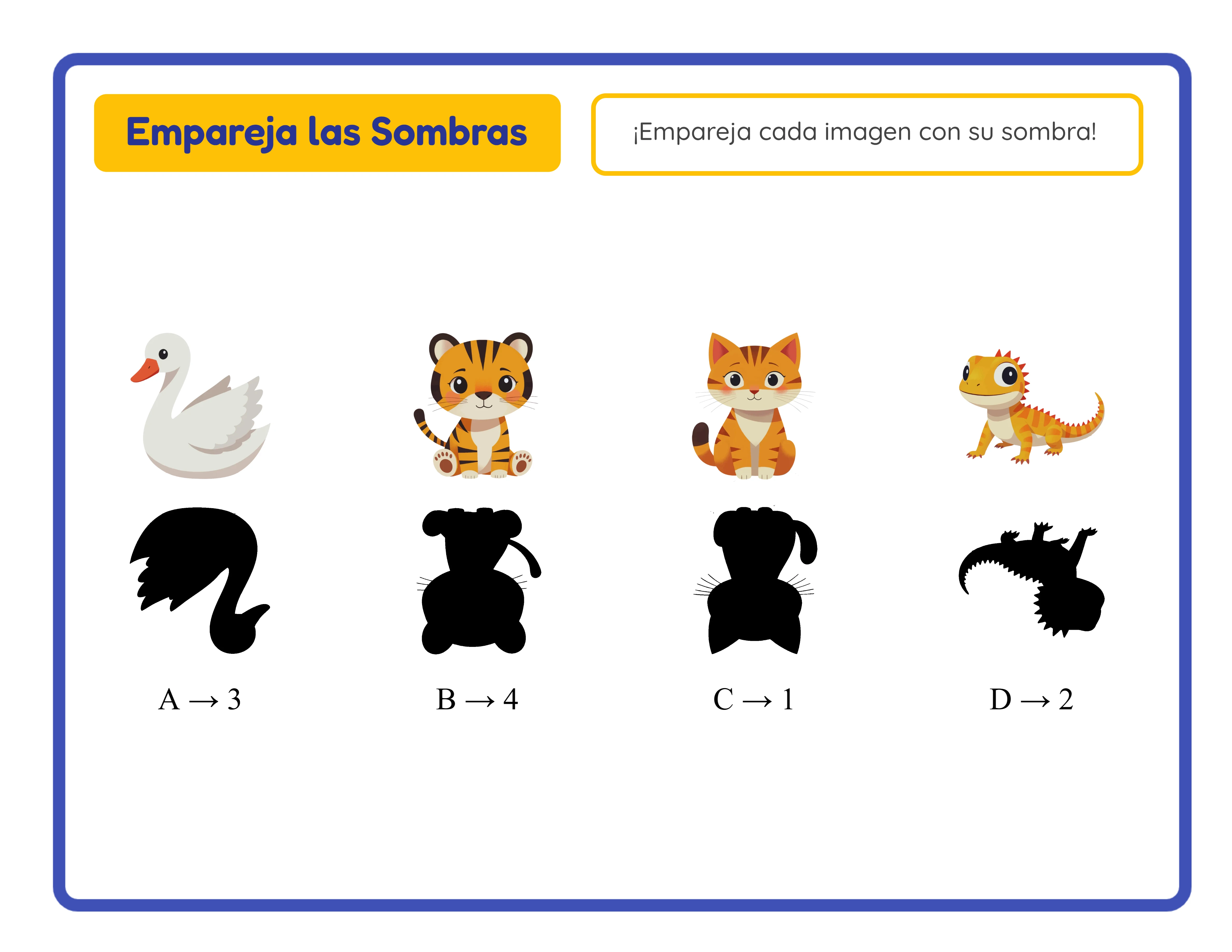 Clave de respuestas de sombras