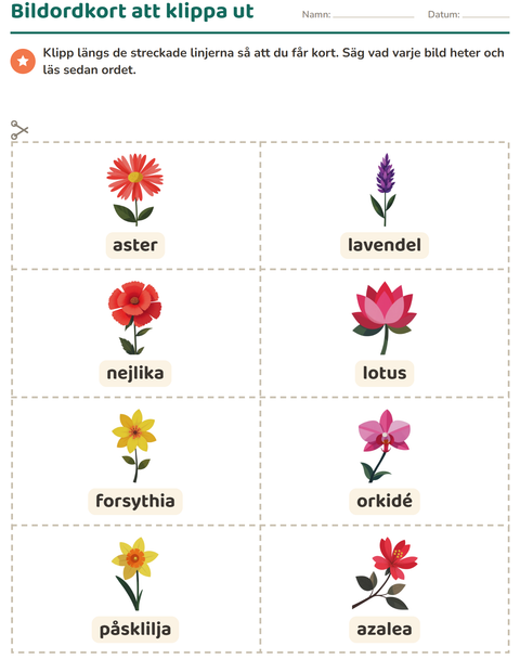 Förhandsvisning av Bildordkort-arbetsblad med Blommor för Förskoleklass