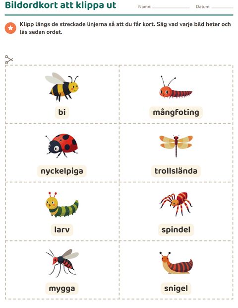 Förhandsvisning av Bildordkort-arbetsblad med Insekter och kryp för Förskoleklass