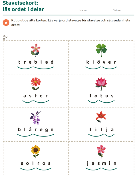 Förhandsvisning av Bildordkort-arbetsblad med Blommor för Årskurs 1