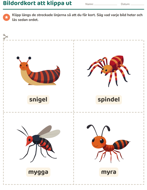 Förhandsvisning av Bildordkort-arbetsblad med Insekter och kryp för Förskoleklass