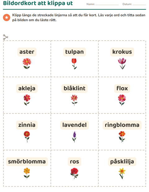 Förhandsvisning av Bildordkort-arbetsblad med Blommor för Förskoleklass