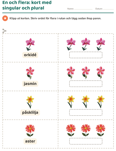 Förhandsvisning av Bildordkort-arbetsblad med Blommor för Förskoleklass