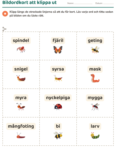 Förhandsvisning av Bildordkort-arbetsblad med Insekter och kryp för Förskoleklass