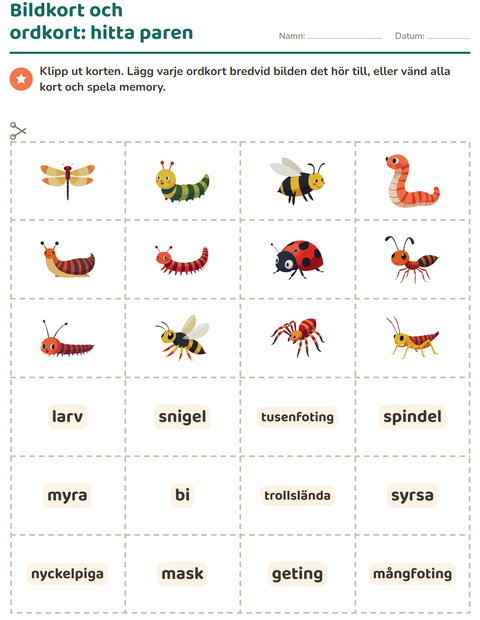 Förhandsvisning av Bildordkort-arbetsblad med Insekter och kryp för Förskoleklass