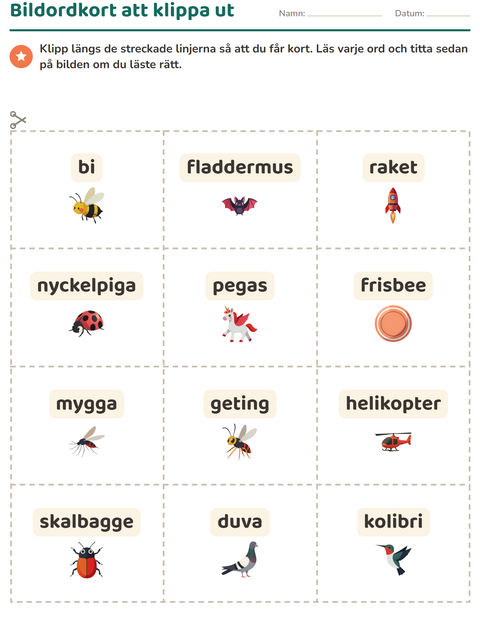 Förhandsvisning av Bildordkort-arbetsblad med Saker som flyger för Förskoleklass