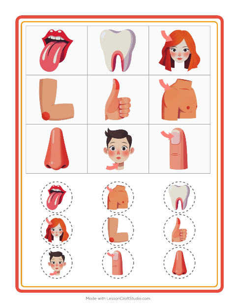 Bildbingo – Kroppsdelar