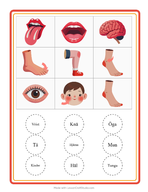 Bildbingo med kroppsdelar – arbetsblad för förskolan — 2