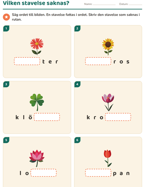 Förhandsvisning av Dela upp ord i stavelser-arbetsblad med Blommor för Årskurs 1
