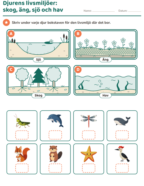 Djurens livsmiljöer: skog, äng, sjö och hav