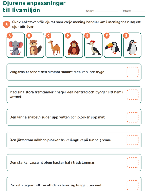 Djurens anpassningar till livsmiljön