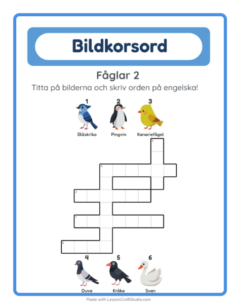 Engelskt bildkorsord – Fåglar 2