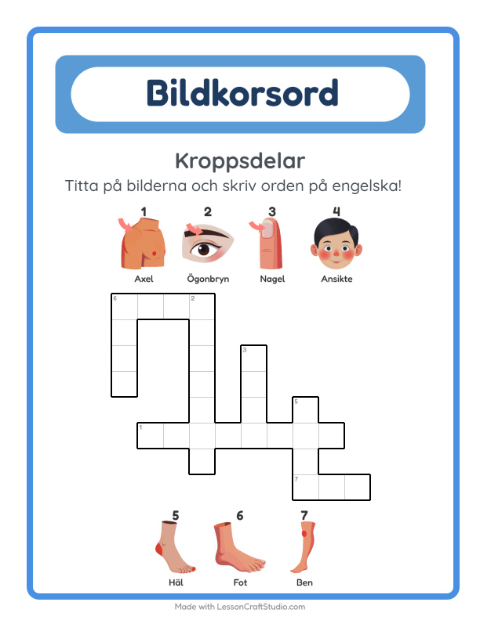 Förhandsvisning av Lär dig engelska: Kroppsdelar – korsord för barn