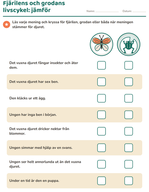 fjarilens-och-grodans-livscykel-g3393