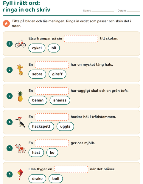Förhandsvisning av Fyll i rätt ord-arbetsblad för Årskurs 1