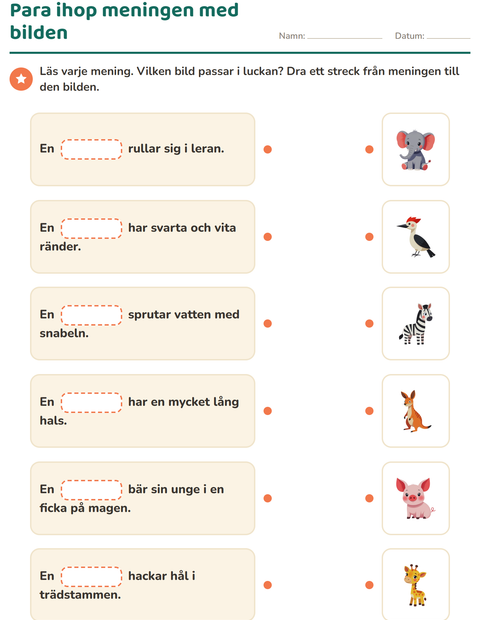 Förhandsvisning av Para ihop meningen med bilden
