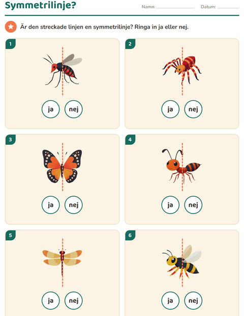 Förhandsvisning av Geometri-arbetsblad med Insekter och kryp för Årskurs 2