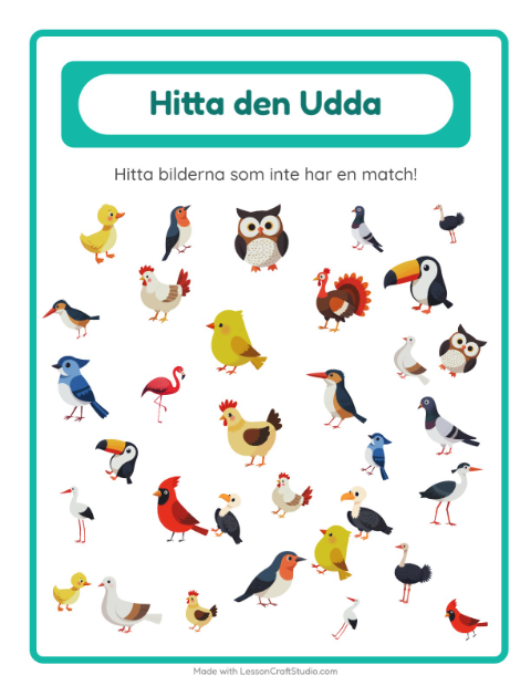 Hitta det udda – Fåglar 2