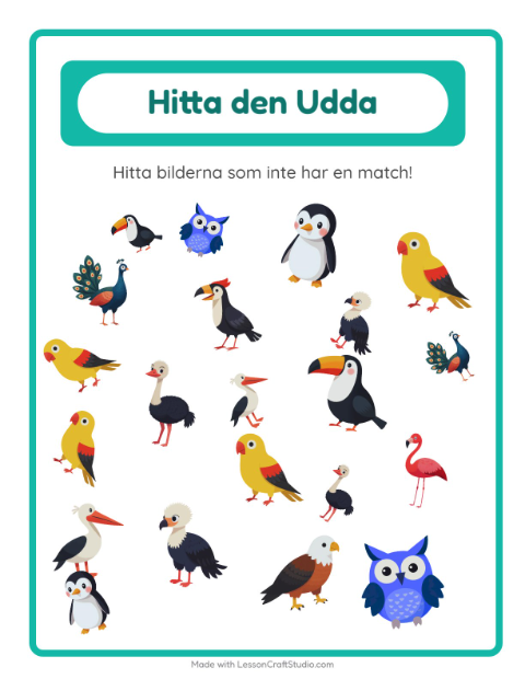 Hitta det udda – Fåglar