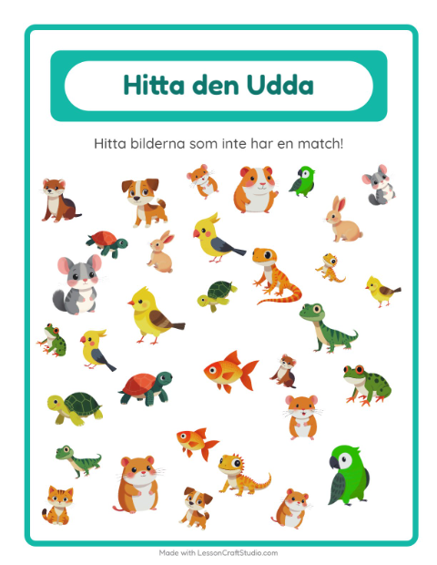 Hitta det udda – Husdjur