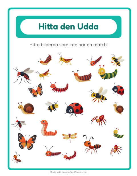 Hitta det udda – Insekter och kryp