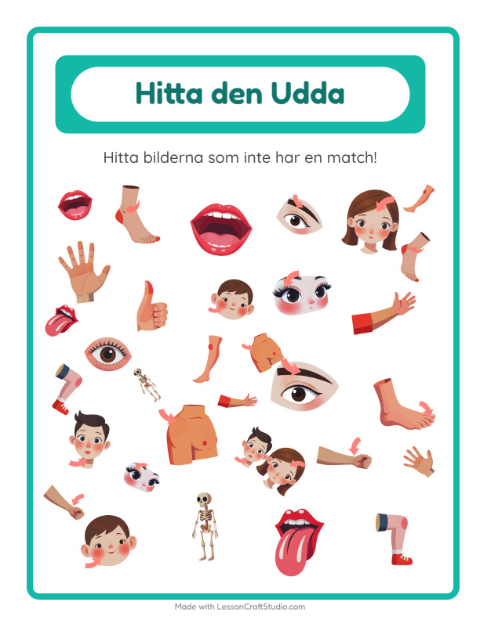 Hitta det udda – Kroppsdelar