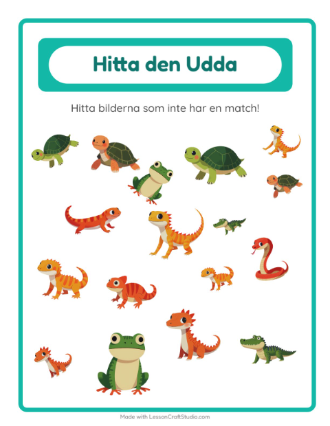 Hitta det udda – Reptiler och groddjur