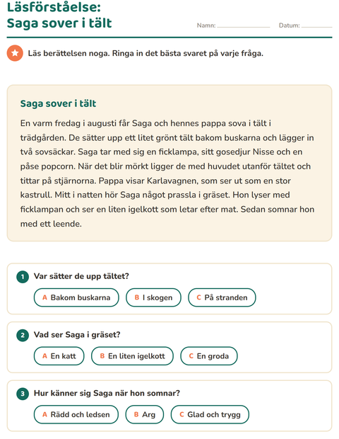 Förhandsvisning av Läsförståelse-arbetsblad för Årskurs 2