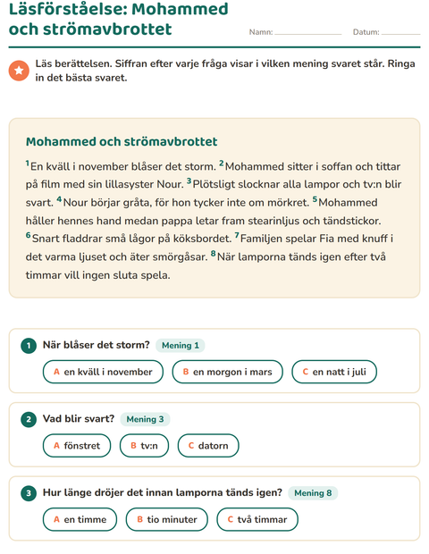 Förhandsvisning av Läsförståelse-arbetsblad för Årskurs 2