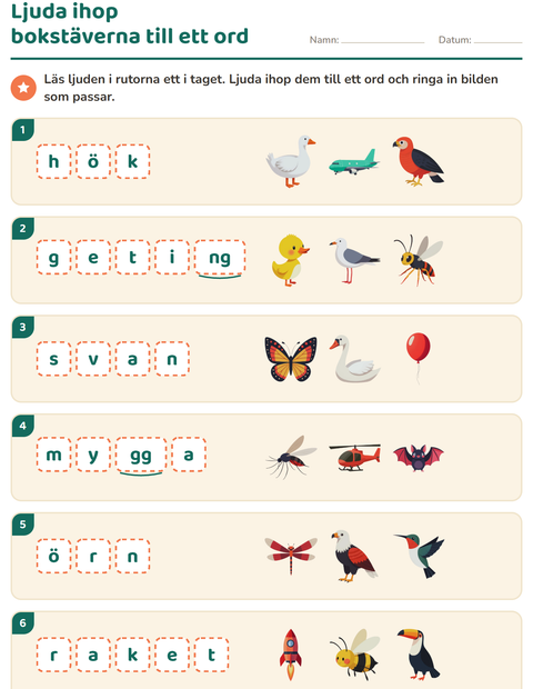 Förhandsvisning av Ljuda ord-arbetsblad med Saker som flyger för Årskurs 1