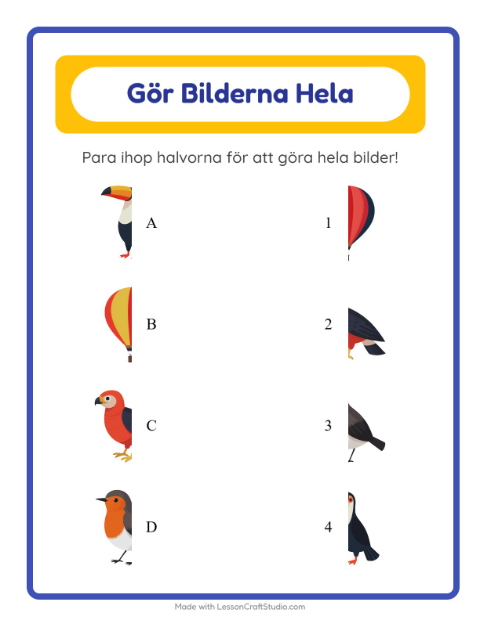 Förhandsvisning av Matcha Skuggor-arbetsblad med Saker som flyger för Förskoleklass
