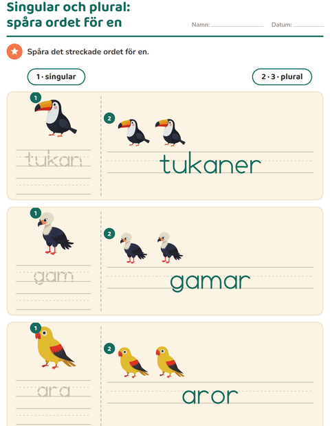 Förhandsvisning av Singular och plural-arbetsblad med Fåglar för Förskoleklass