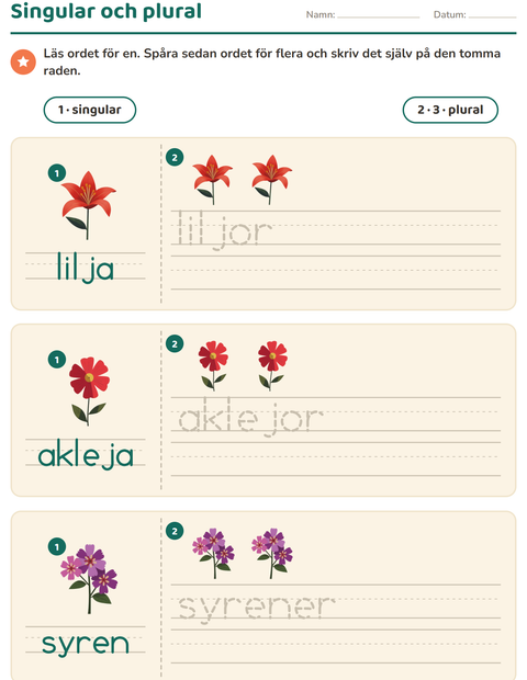 Förhandsvisning av Singular och plural-arbetsblad med Blommor för Förskoleklass