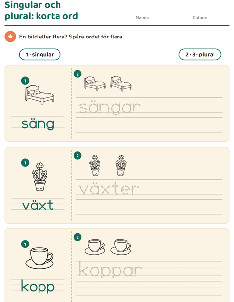 Förhandsvisning av Singular och plural-arbetsblad med Hushåll SV för Förskoleklass