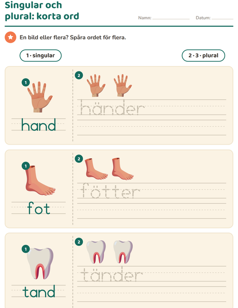 Förhandsvisning av Singular och plural-arbetsblad med Kroppsdelar för Förskoleklass