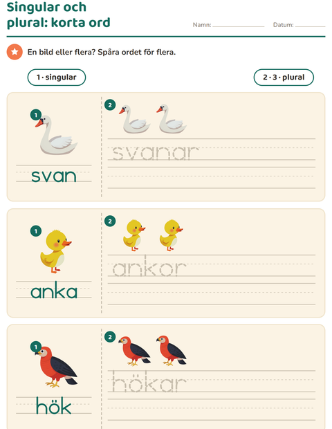 Förhandsvisning av Singular och plural-arbetsblad med Saker som flyger för Förskoleklass