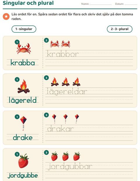 Förhandsvisning av Singular och plural-arbetsblad med Sommar för Förskoleklass