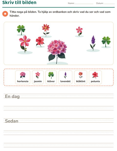 Förhandsvisning av Skriv till bilden-arbetsblad med Blommor för Årskurs 2