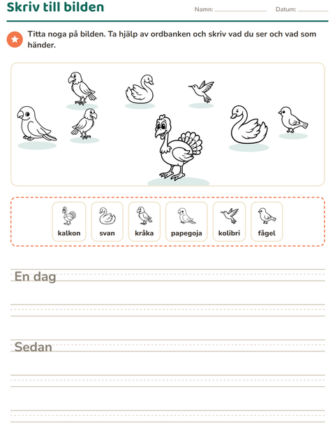 Förhandsvisning av Skriv till bilden-arbetsblad med Fåglar S&V 2 för Årskurs 2