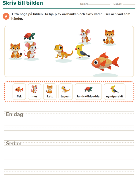 Förhandsvisning av Skriv till bilden-arbetsblad med Husdjur för Årskurs 2