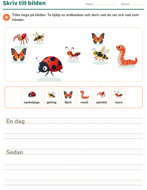 Förhandsvisning av Skriv till bilden-arbetsblad med Insekter och kryp för Årskurs 2